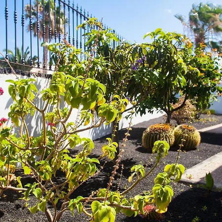 Alizuth Puerto del Carmen (Lanzarote)