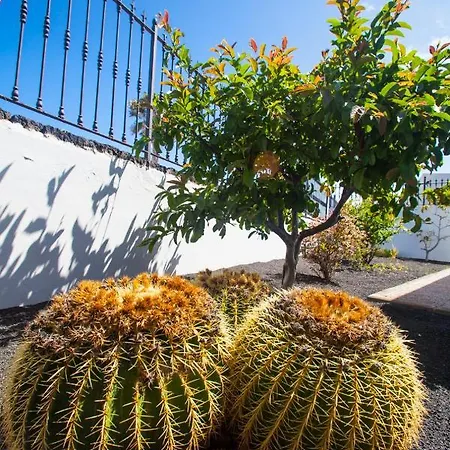 Alizuth * Puerto del Carmen (Lanzarote)