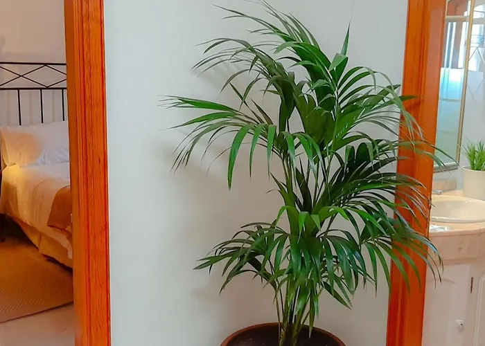 Villa Alizuth Puerto del Carmen (Lanzarote)