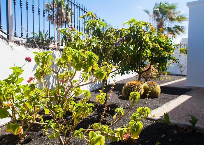 Alizuth Puerto del Carmen (Lanzarote)