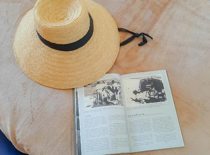 Alizuth פוארטו דל כרמן